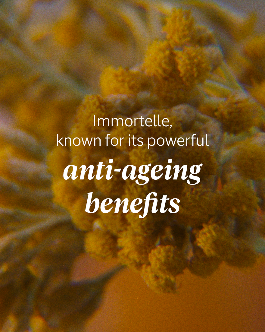 view 6/10 of Immortelle Shea Body Balm, , RECT