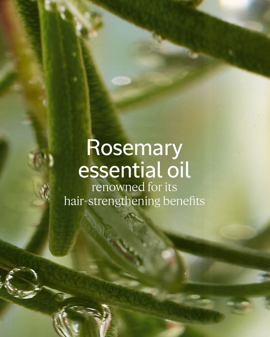 view 3/3 of Aromachology Strength & Volume Conditioner, , RECT