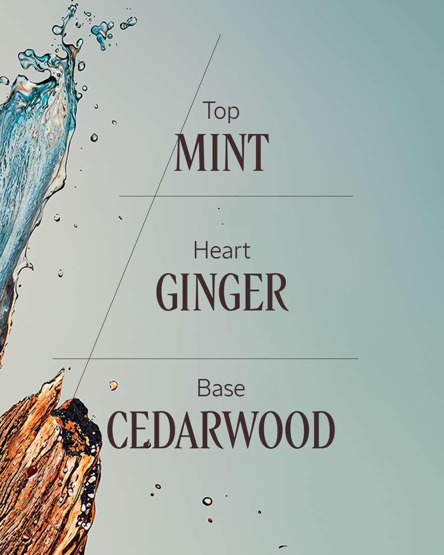 view 4/7 of C&egrave;dre Gingembre (Formerly Cap Cedrat) Eau De Toilette, , RECT