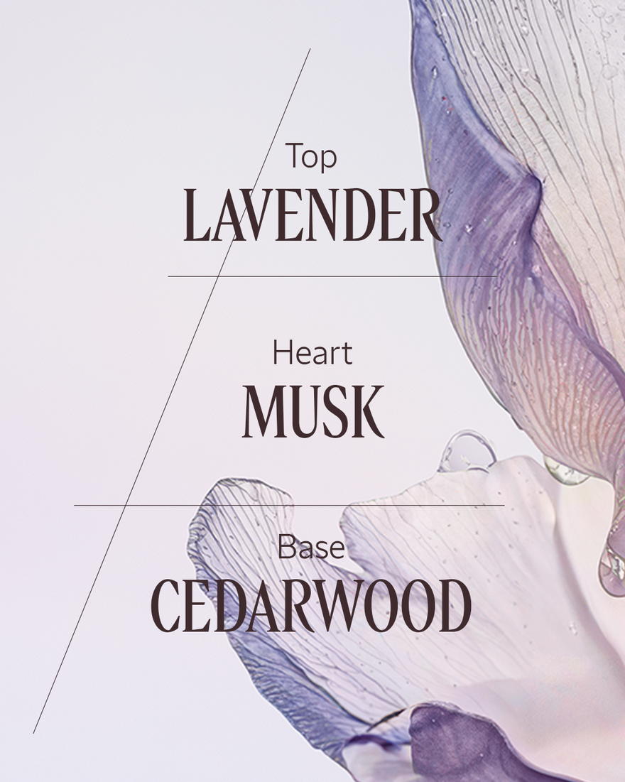 【peaceけ】LAVANDE BLANCHE Lavande Blanche Fragrance Collection | L'OCCITANE UK