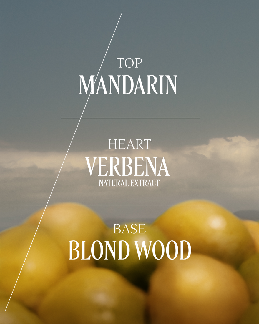 view 5/8 of Verveine Agrumes (Citrus Verbena) Eau De Toilette, , RECT