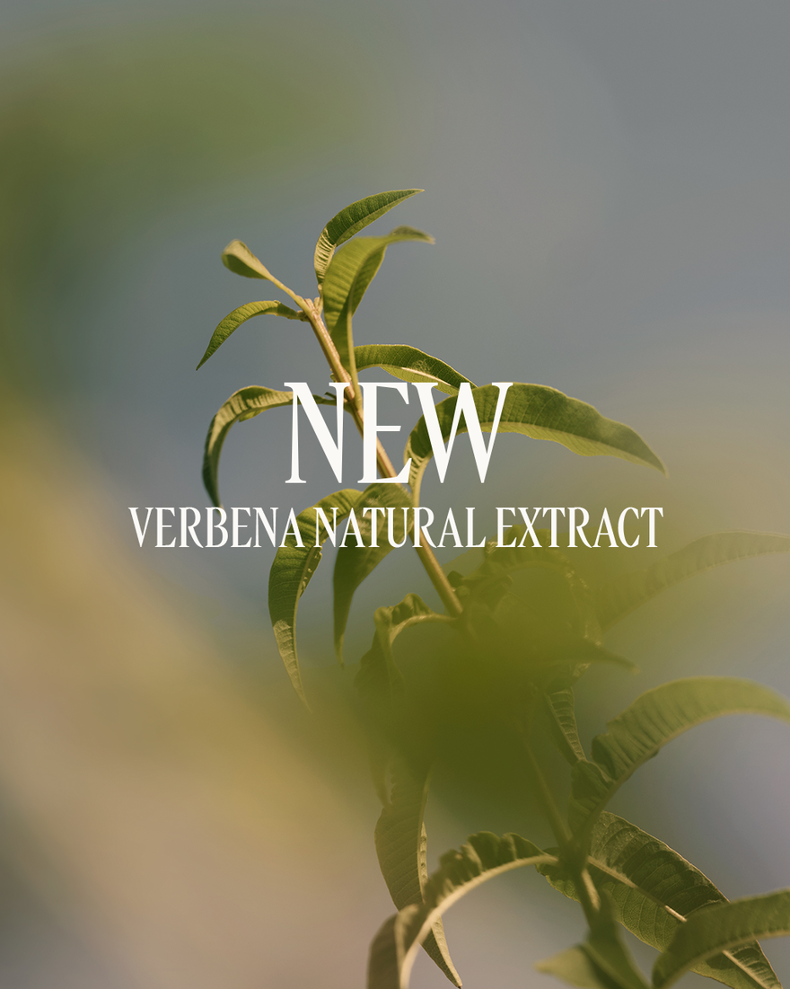 view 4/4 of Verbena Balm Deodorant, , RECT