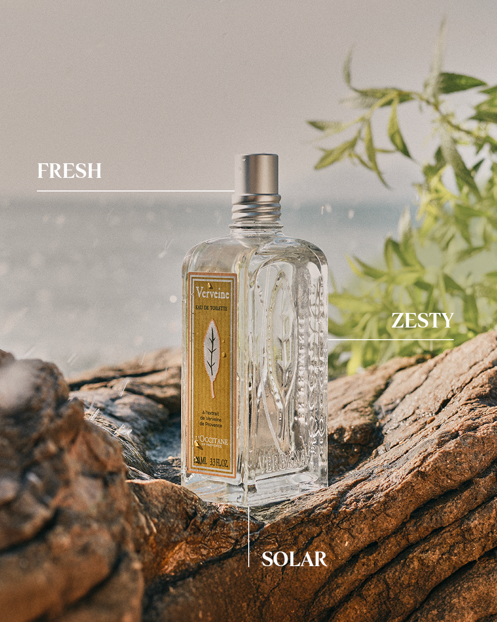 Verbena Venezia Eau De Toilette Von Monotheme – Zitrus-Blütenduft Mit Weißer Blumen-, Moschus- Und Ambernote, 100 Ml