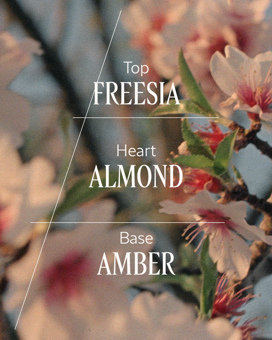 view 5/8 of Almond (Amande) Delightful Hair & Body Mist, , RECT