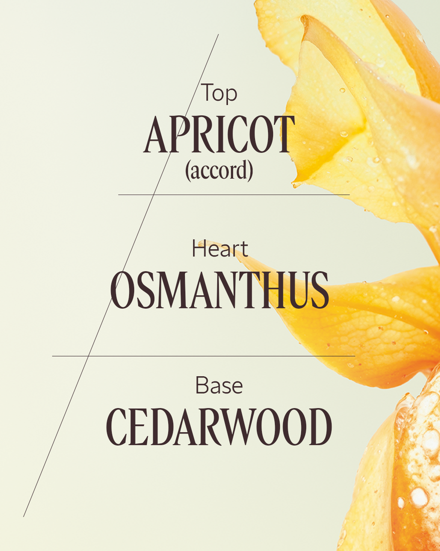 view 4/7 of Osmanthus Abricot Eau de Toilette, , RECT