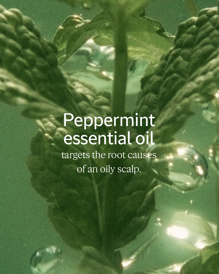 view 6/6 of Purifying Freshness Shampoo, , RECT