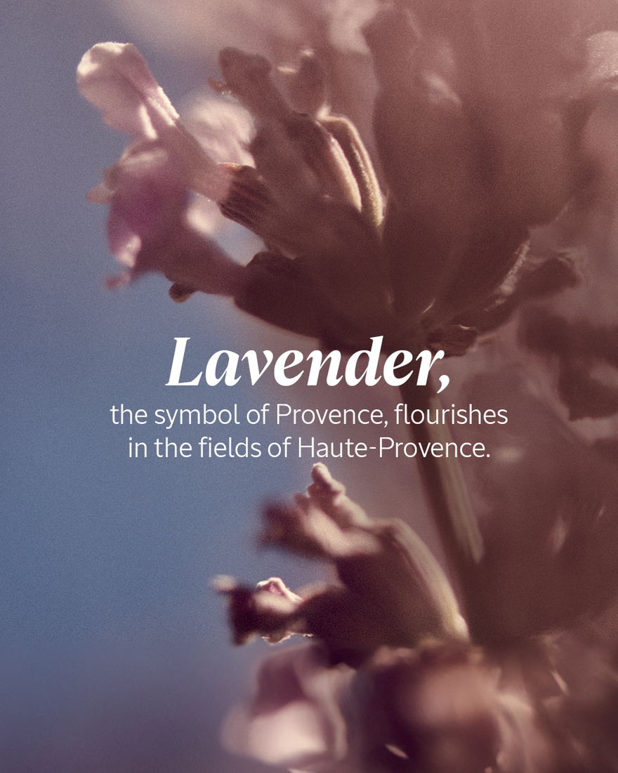 view 2/4 of Lavender Foaming Bath 100ml, , RECT