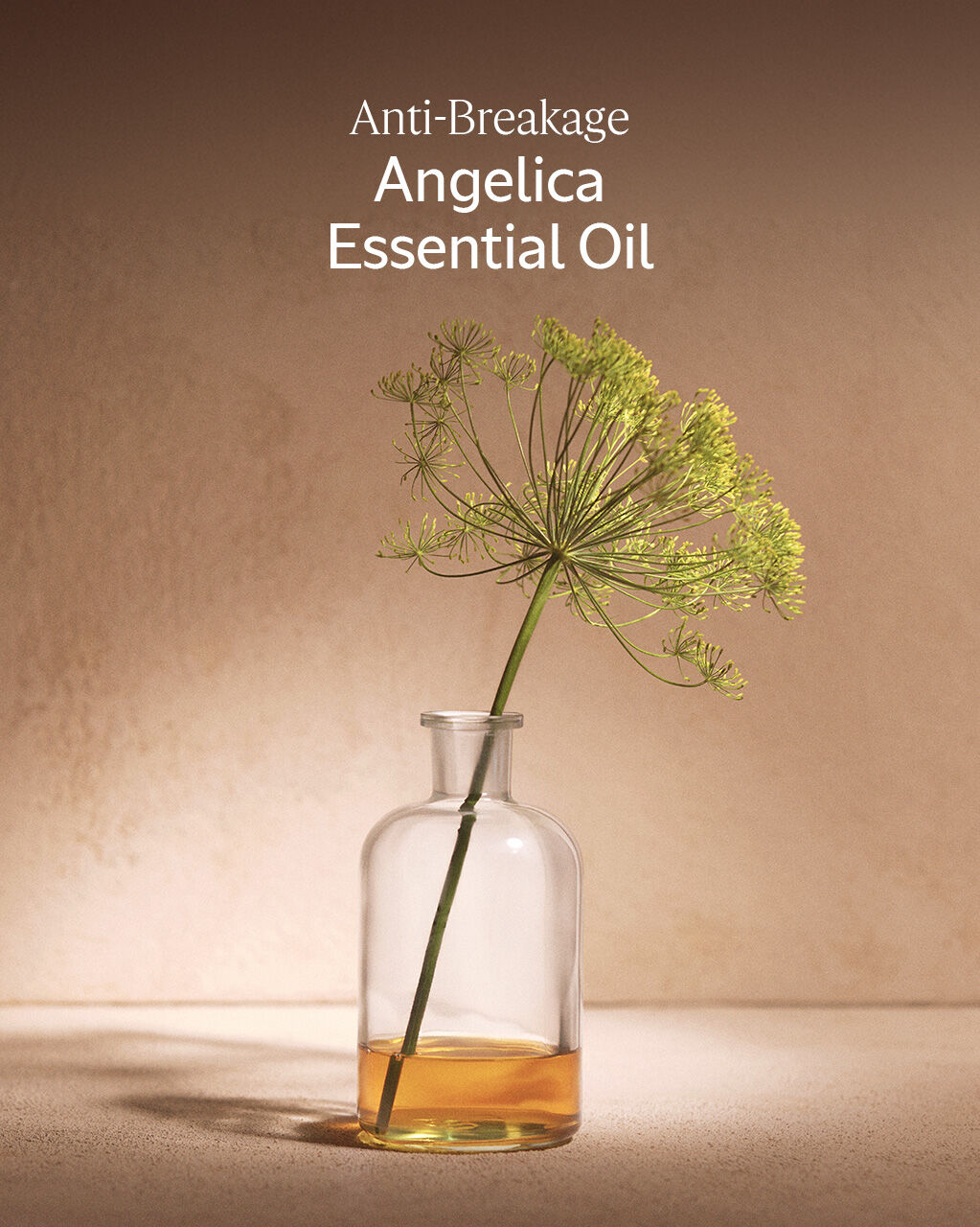 Intensive Repair Shampoo Refill 500ml | L'OCCITANE UK