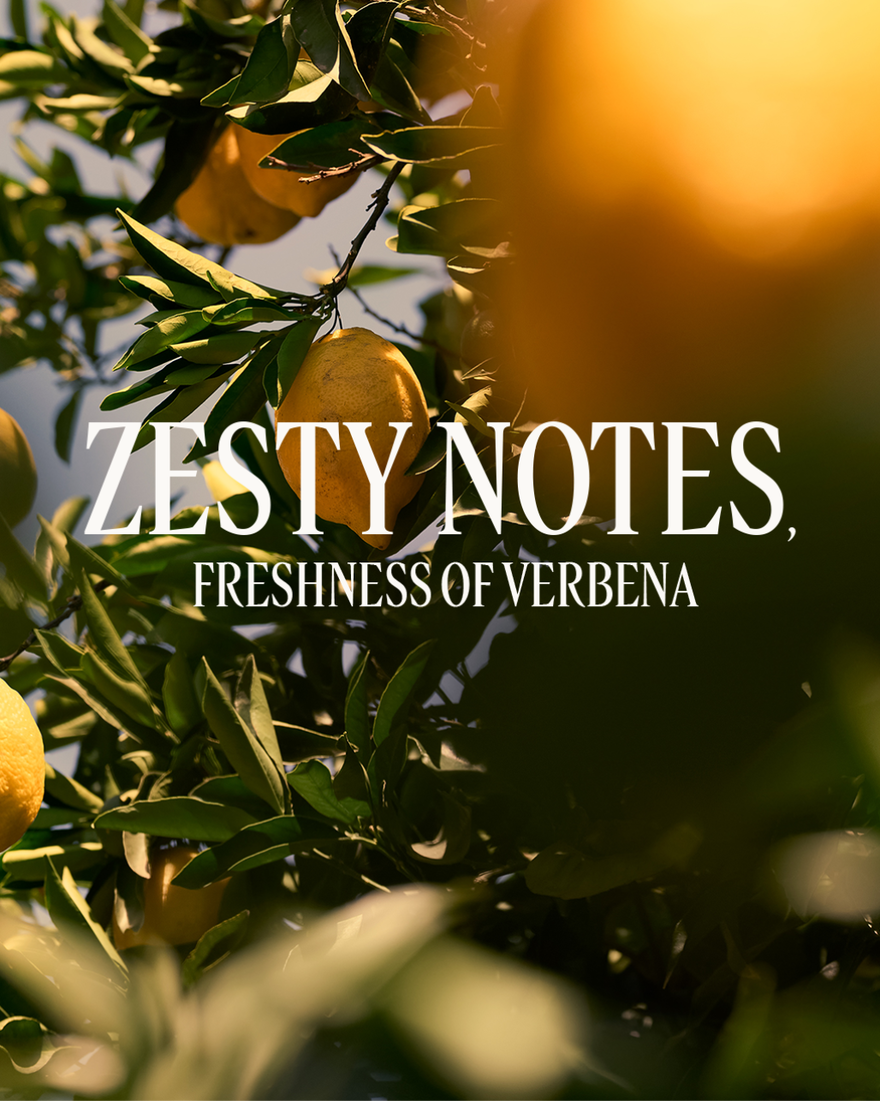 view 3/3 of Verveine Agrumes (Citrus Verbena) Shower Gel Refill, , RECT